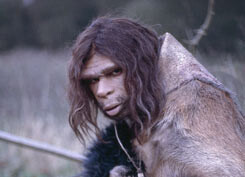 Neanderthaler Neanderthaler