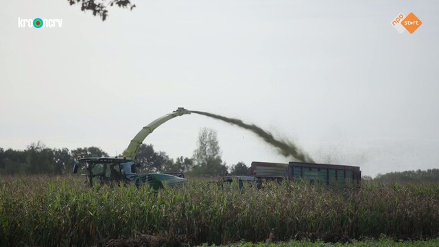 Override of the title Onze boerderij: de oogst