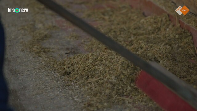 Onze boerderij: de oogst