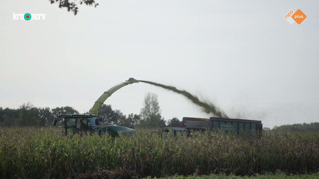 Override of the title Onze boerderij: de oogst