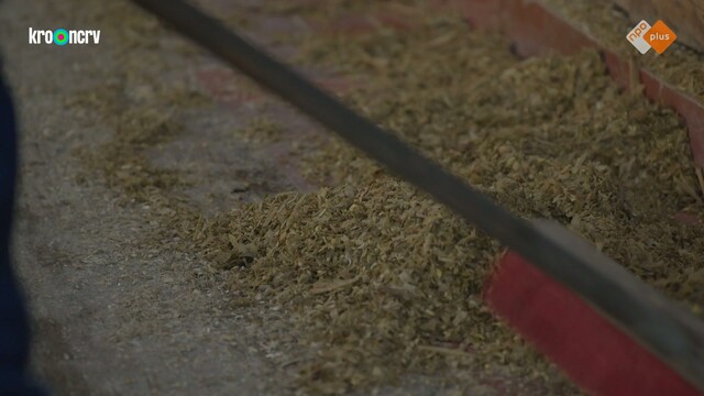 Onze boerderij: de oogst