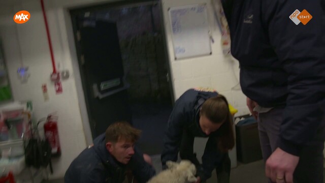Override of the title De dierenarts van Yorkshire