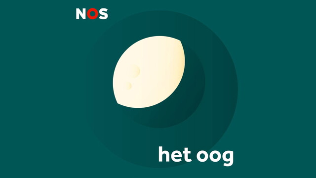 HetOog-tegel HetOog-tegel