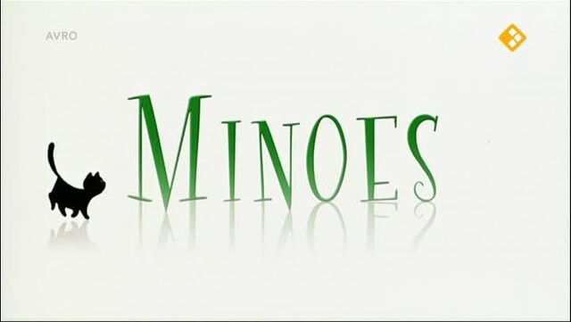 Minoes Minoes