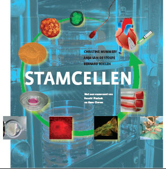 Stamcellen Kaft